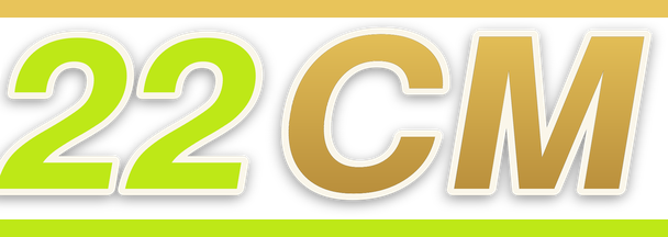 22cm